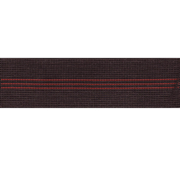Elastic Webbing