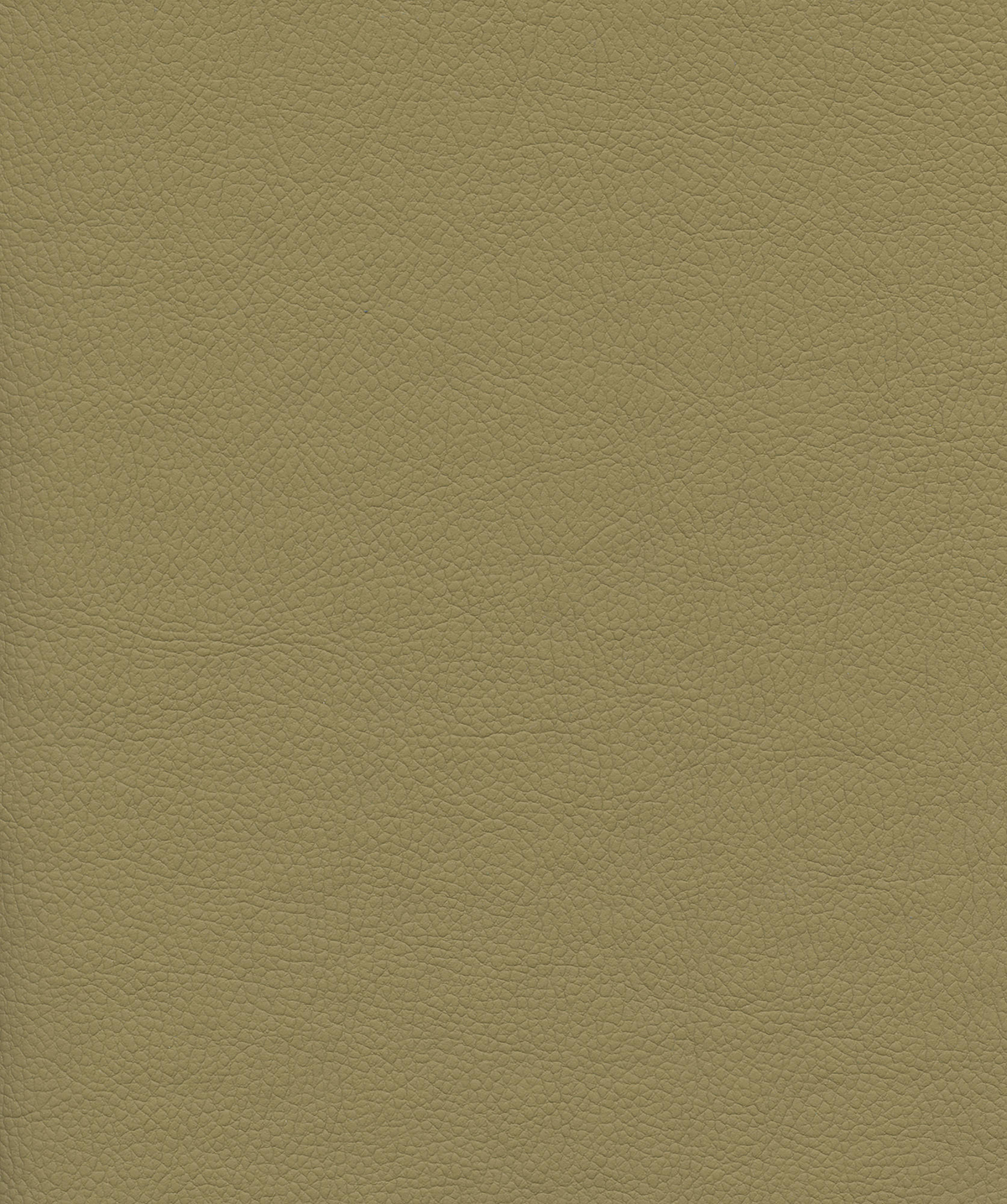 Venus Crib5 Vinyl Colour Sand
