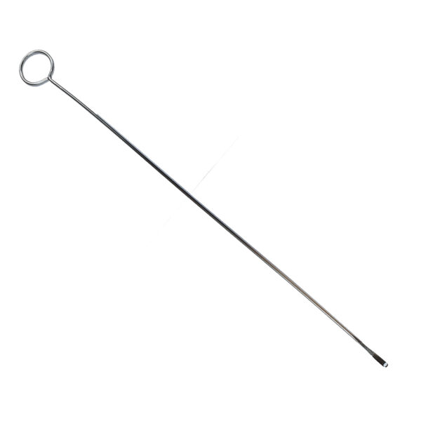 Caning Needle