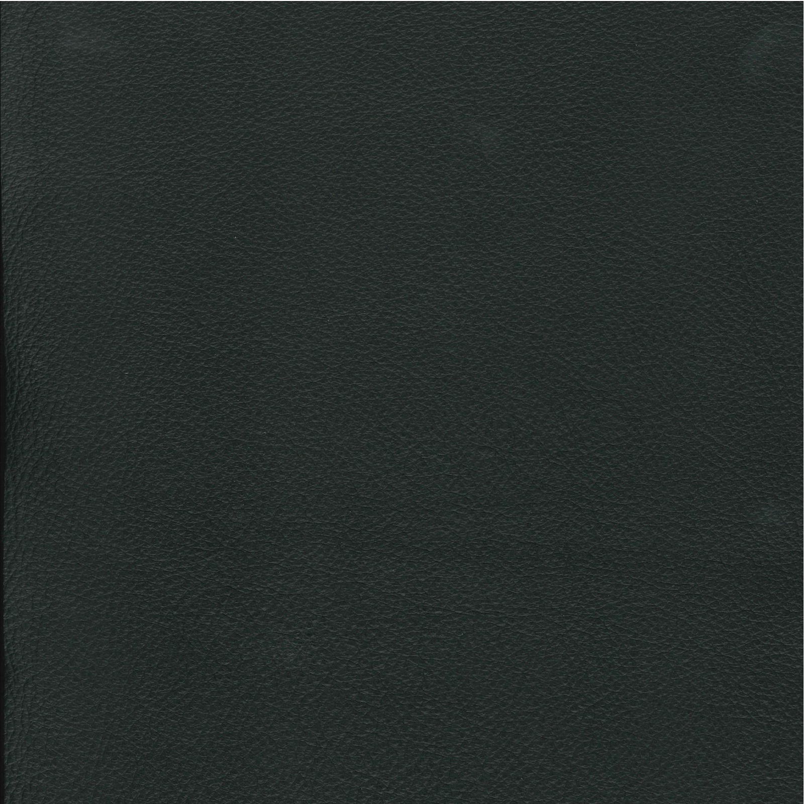 Lomond Leather - Pitch