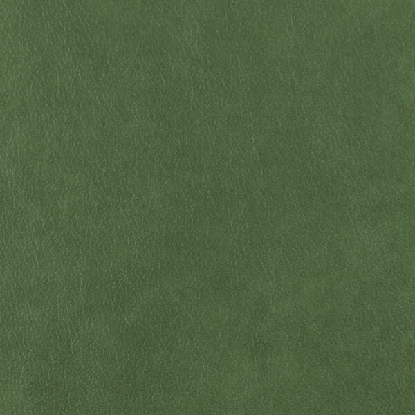 Austen Leather - Aloe