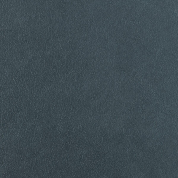Austen Leather - Shark Skin
