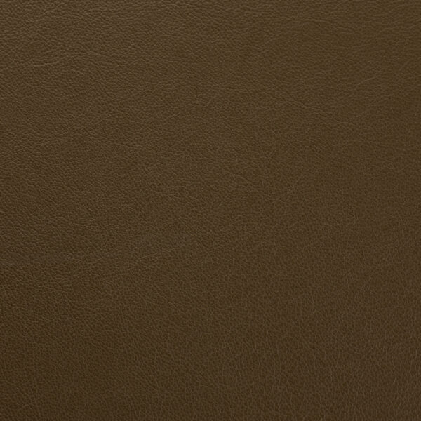 Vele Leather - Terrapin